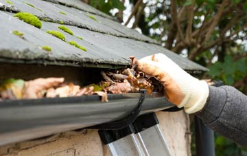 gutter cleaning Upperdale